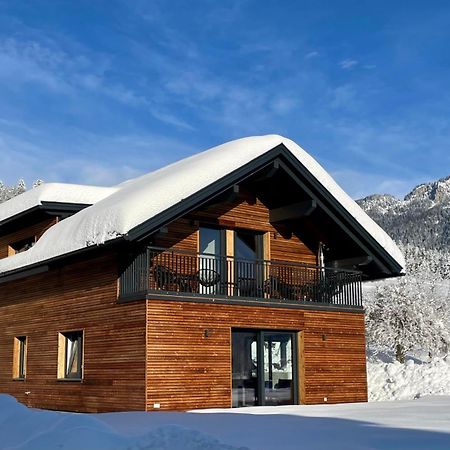 Luxury Chalet Mauthner Alm Kotschach-Mauthen المظهر الخارجي الصورة
