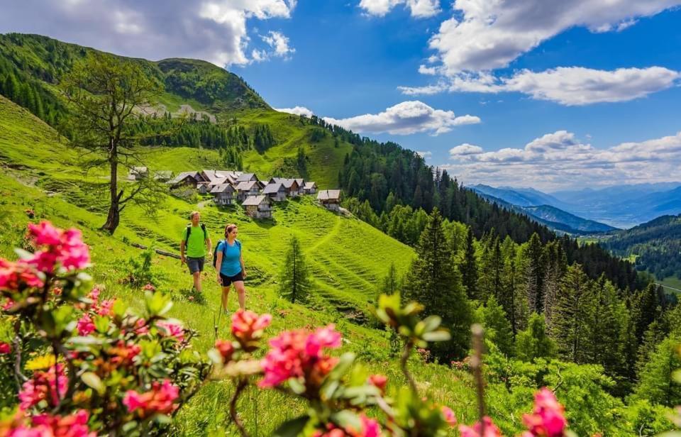 Luxury Chalet Mauthner Alm Kotschach-Mauthen المظهر الخارجي الصورة