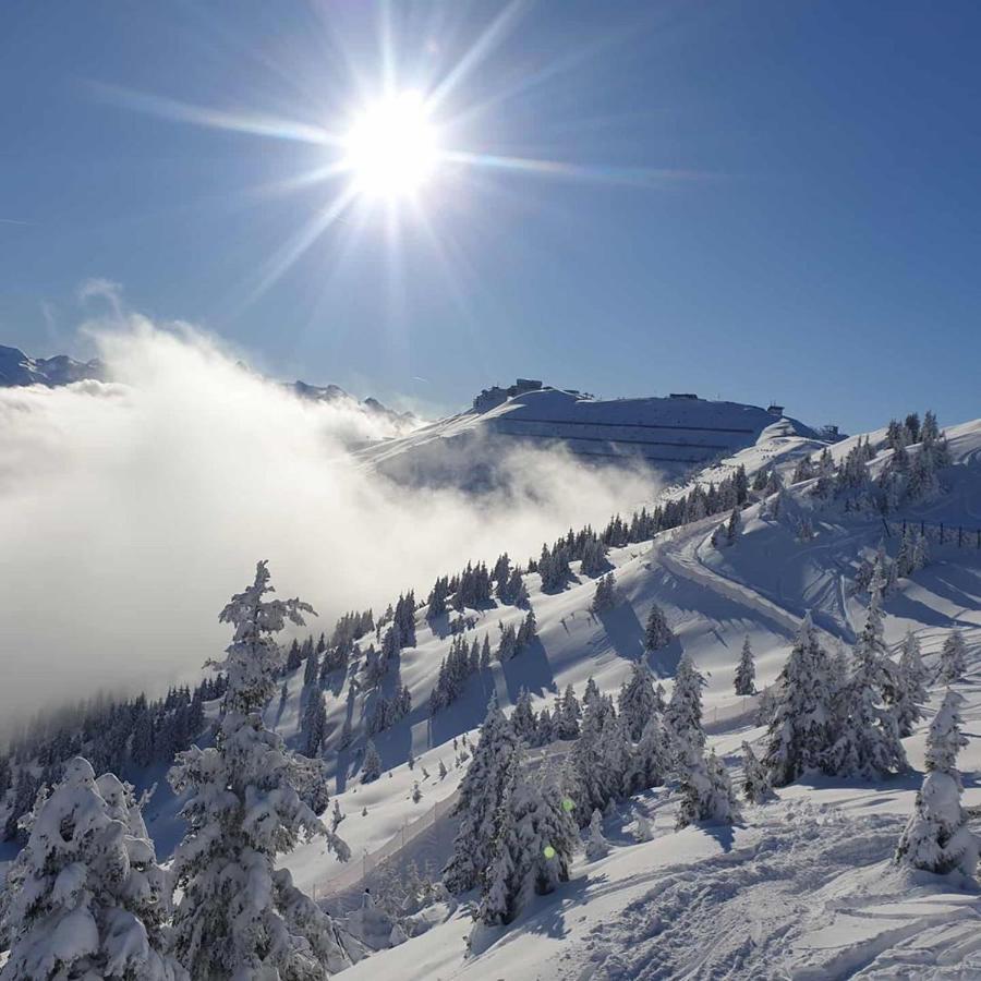 Luxury Chalet Mauthner Alm Kotschach-Mauthen المظهر الخارجي الصورة